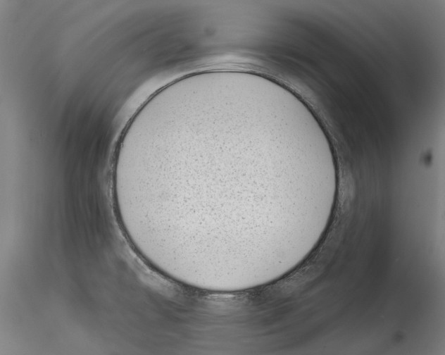 X0000114531478200911301127