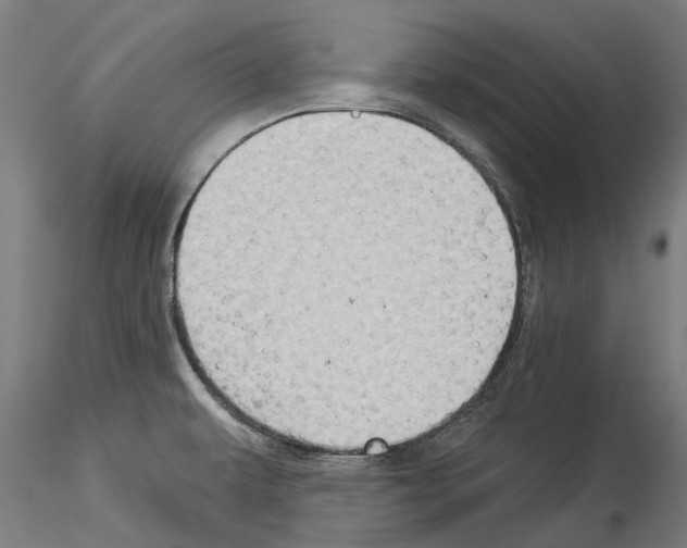 X0000114531479200911301127