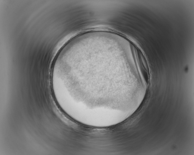 X0000114531482200911301127