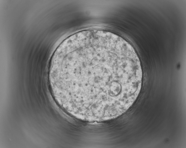 X0000114531483200911301127