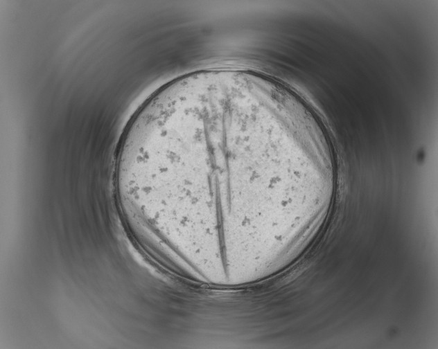 X0000114531484200911301127