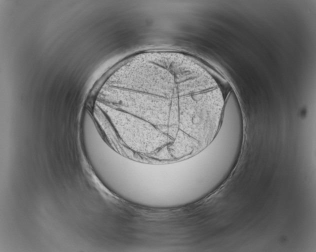 X0000114531485200911301127