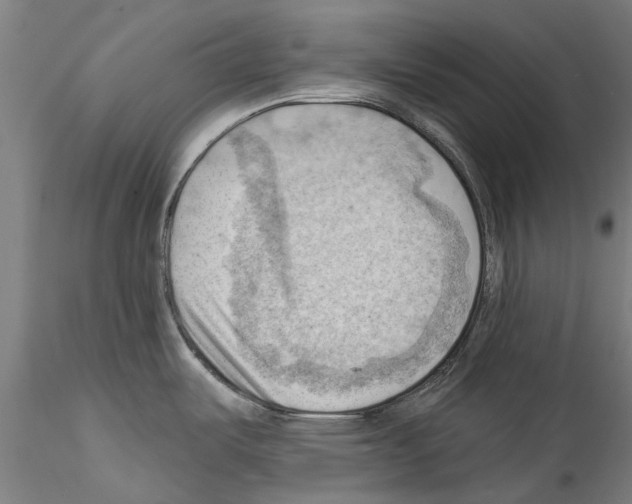 X0000114531487200911301127