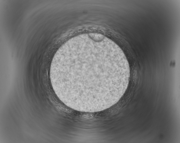 X0000114531489200911301127