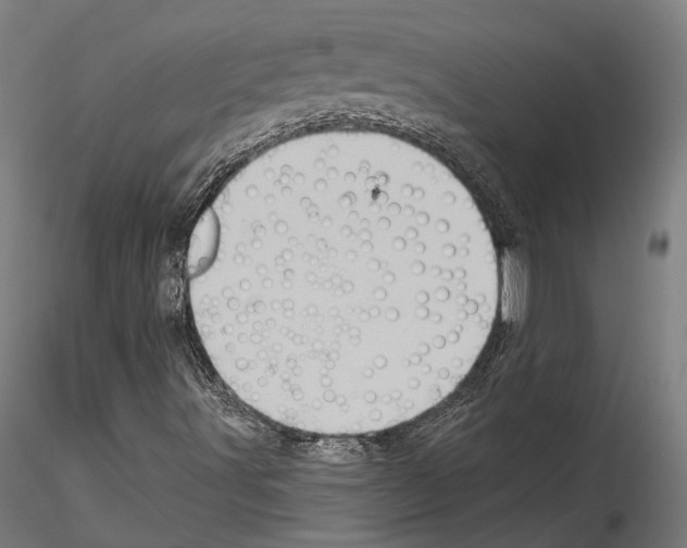 X0000114531491200911301127