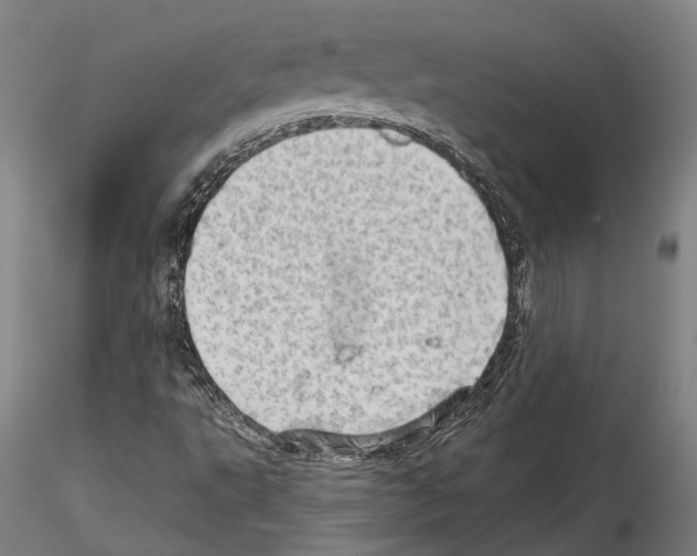 X0000114531495200911301127