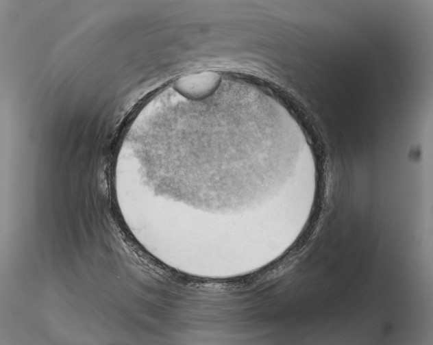 X0000114531497200911301127