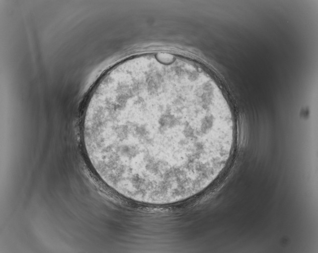 X0000114531501200911301127