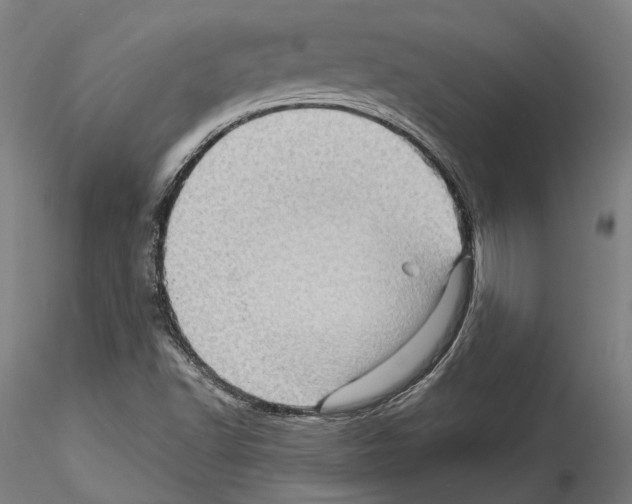 X0000114531502200911301127