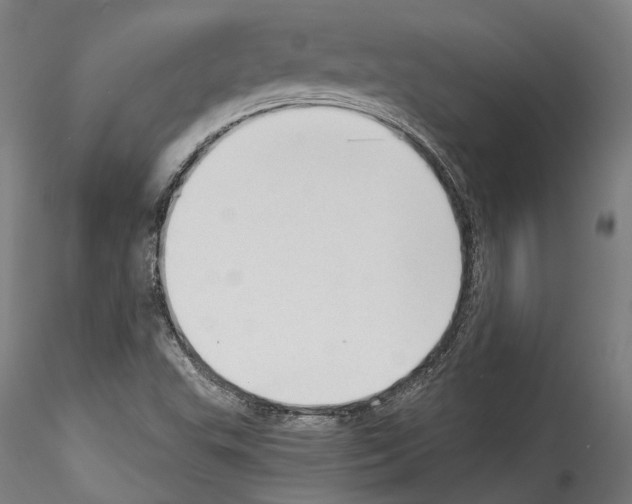 X0000114531503200911301127