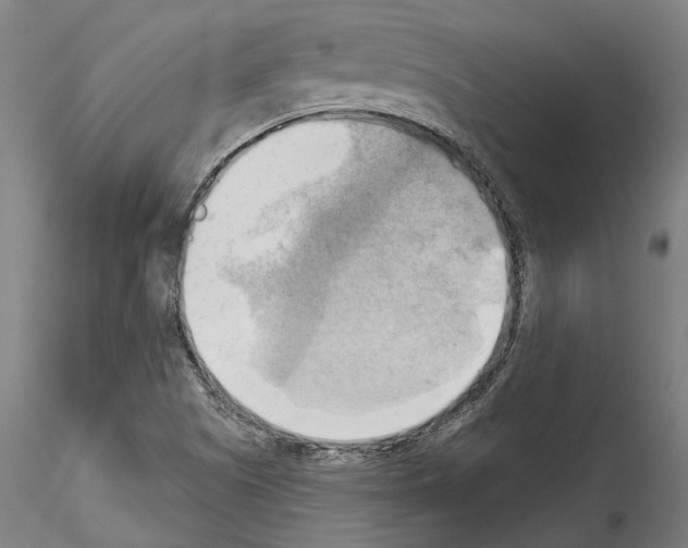 X0000114531505200911301127