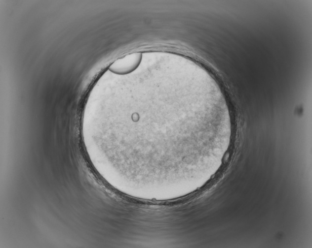 X0000114531506200911301127