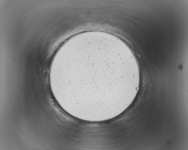 X0000114531507200911301127