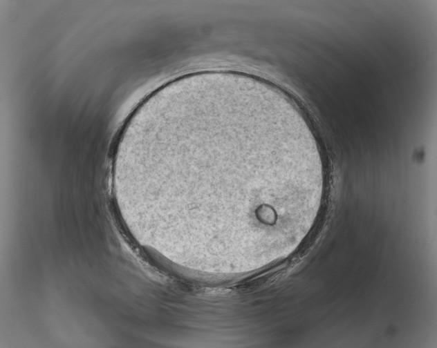 X0000114531509200911301127