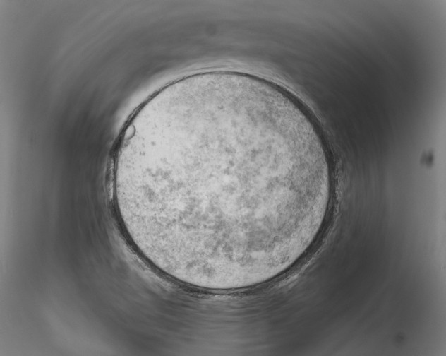 X0000114531510200911301127