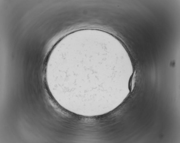 X0000114531511200911301127