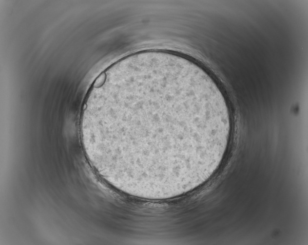 X0000114531513200911301127