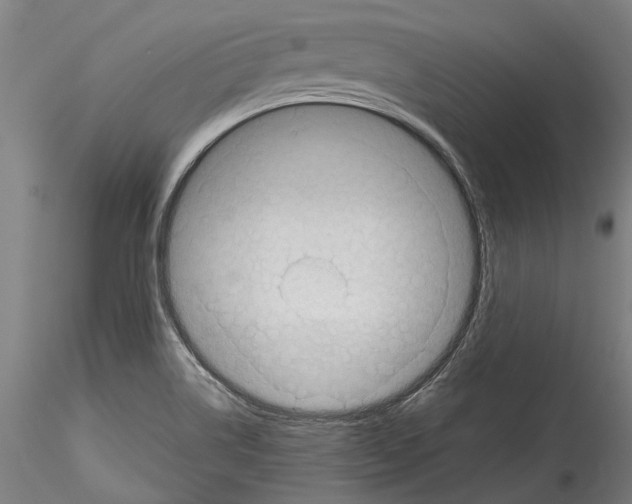 X0000114531514200911301127