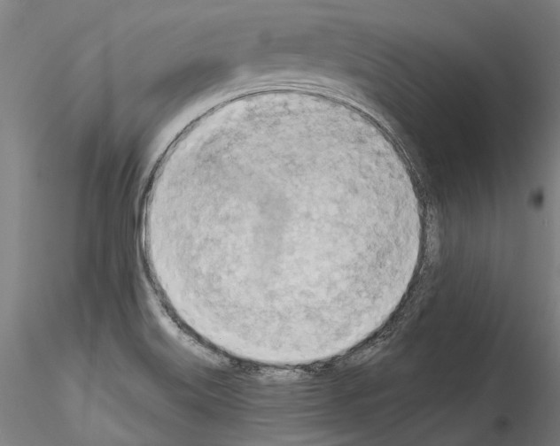 X0000114531515200911301127