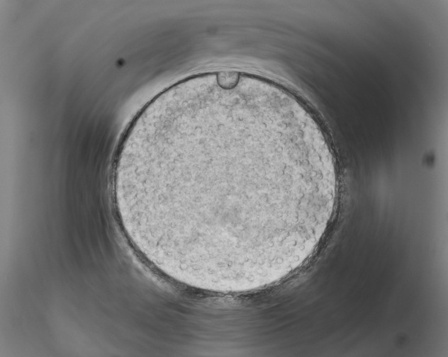 X0000114531517200911301127