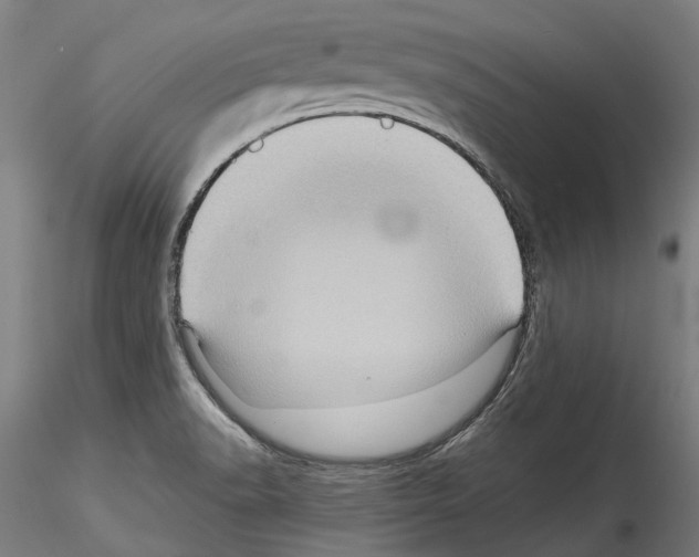 X0000114531518200911301127