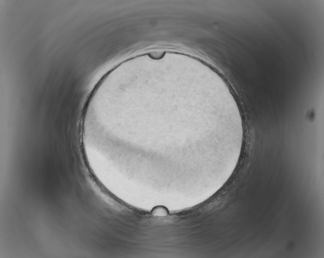 X0000114531519200911301127