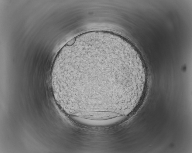 X0000114531521200911301127