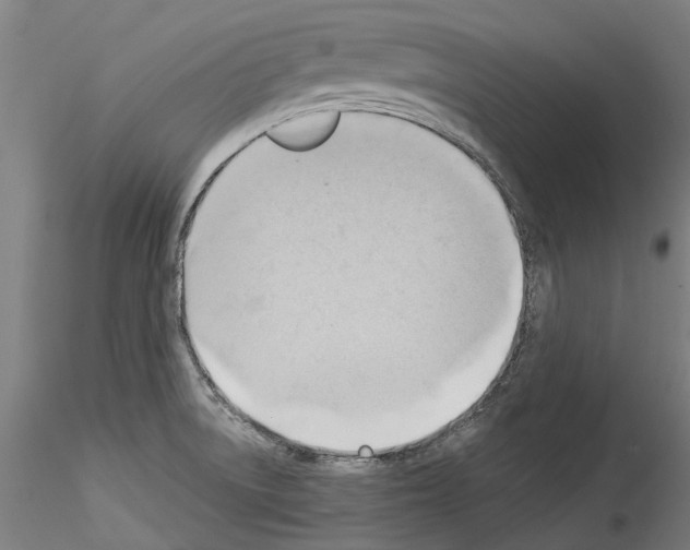 X0000114531522200911301127