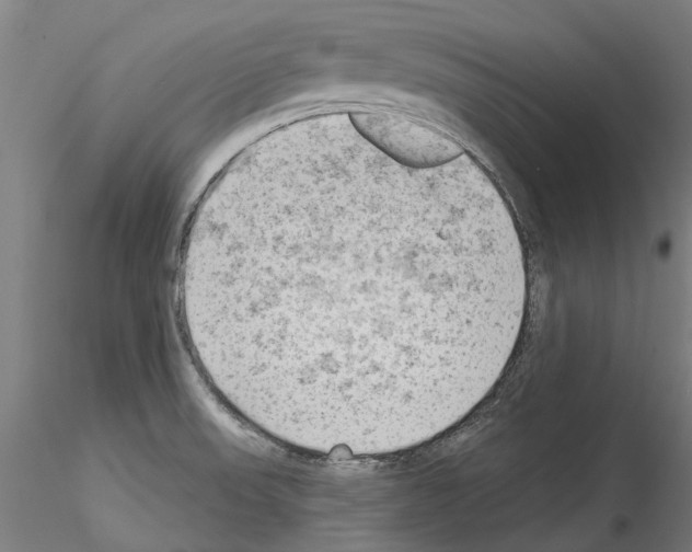 X0000114531523200911301127