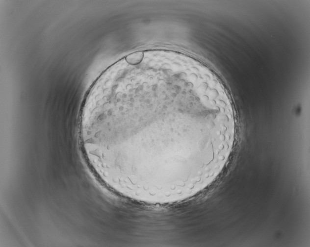 X0000114531525200911301127