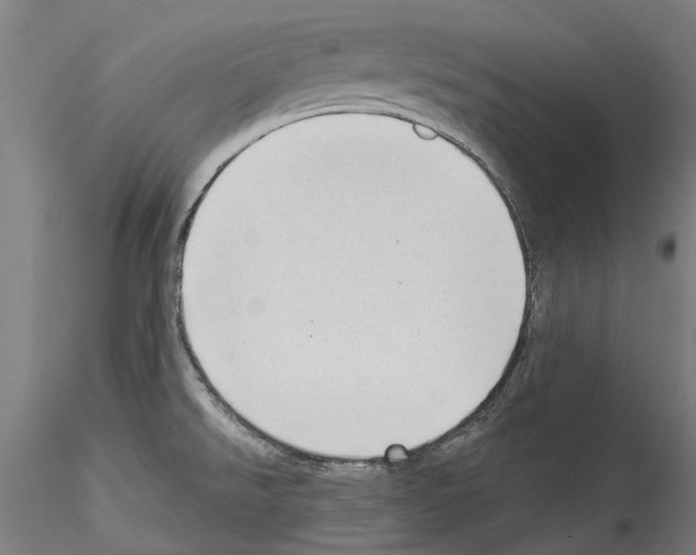 X0000114531526200911301127