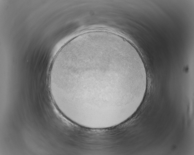 X0000114531527200911301127