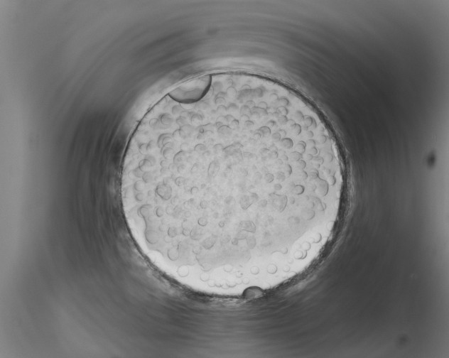 X0000114531529200911301127