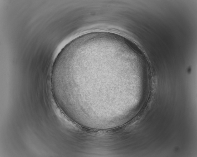 X0000114531530200911301127