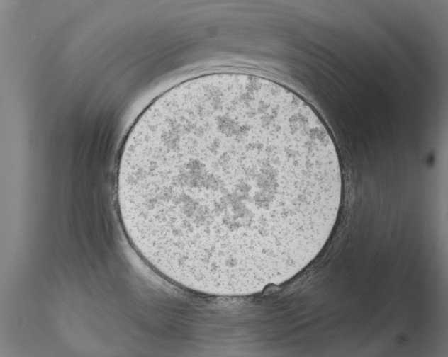 X0000114531531200911301127