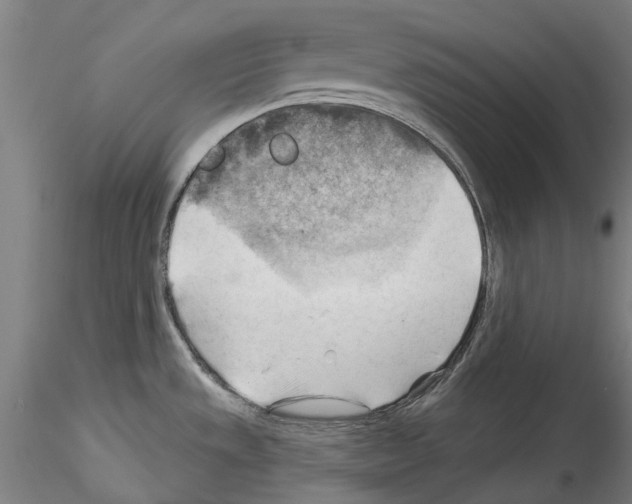 X0000114531533200911301127