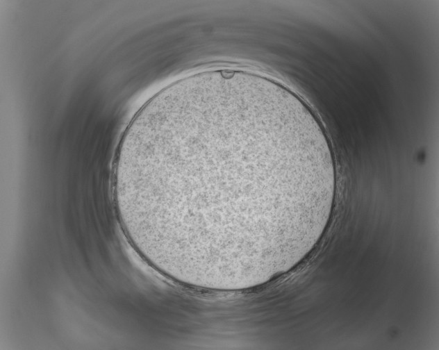 X0000114531535200911301127