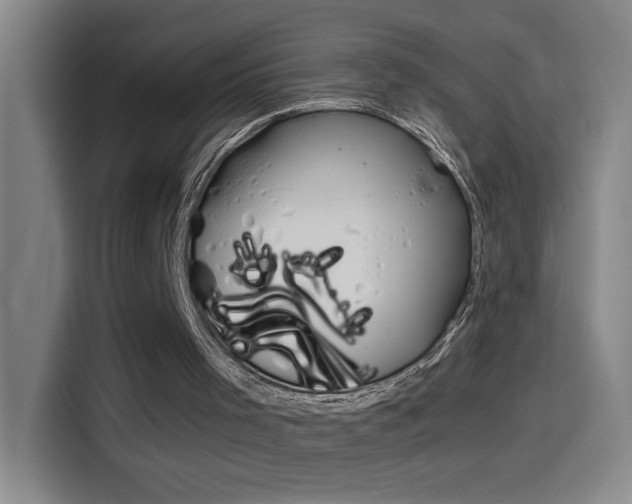 X0000114540001200910190940