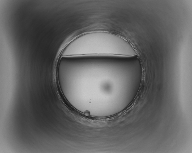 X0000114540004200910190940