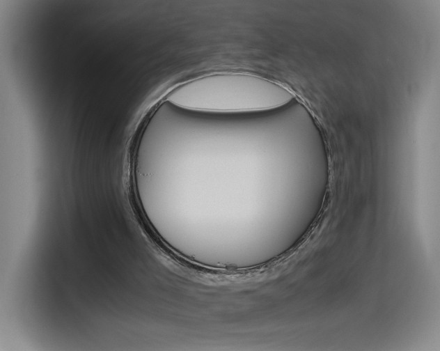 X0000114540005200910190940