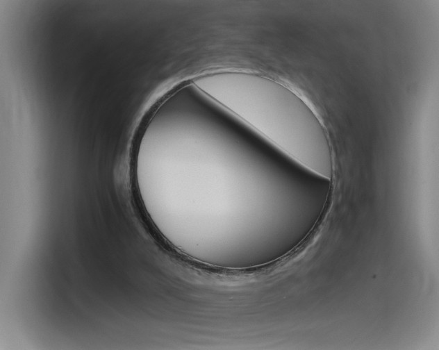 X0000114540008200910190940