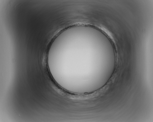 X0000114540009200910190940