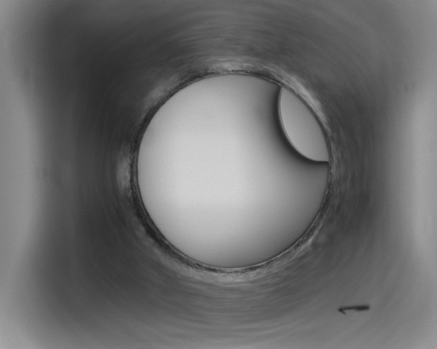 X0000114540010200910190940