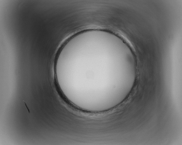 X0000114540011200910190940