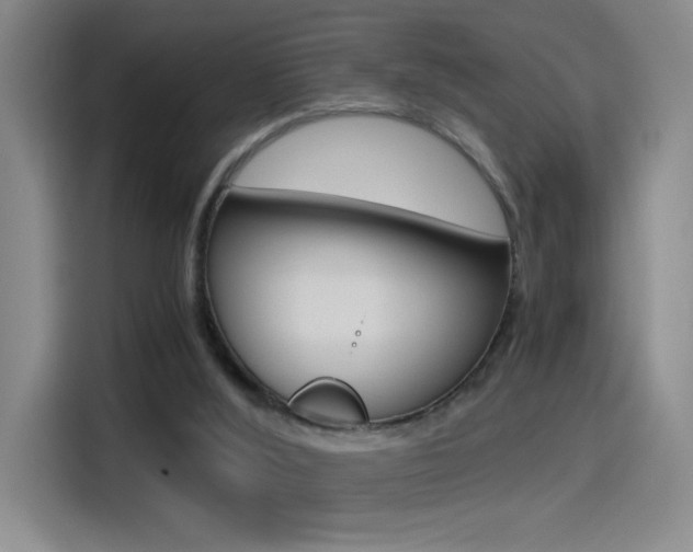 X0000114540012200910190940