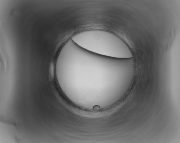 X0000114540014200910190940