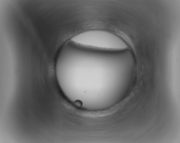 X0000114540017200910190940