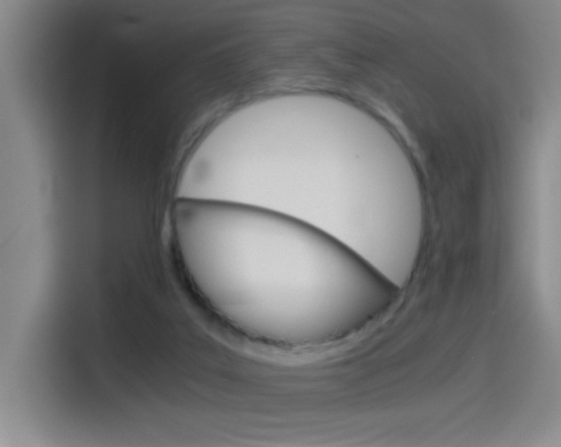 X0000114540019200910190940