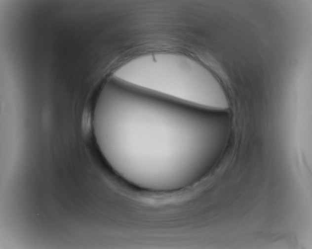 X0000114540021200910190940