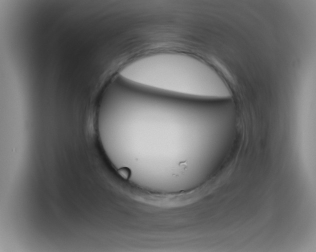 X0000114540023200910190940